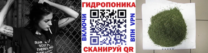Купить где  Бирюч  Бошки Шишки план 